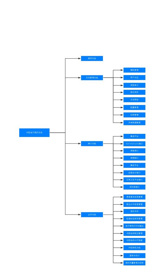 如何绘制与分析中医信息化系统的功能结构图及集成服务